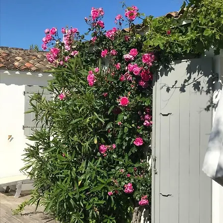 L'avocette Blanche فيلة سا كليمو دي با