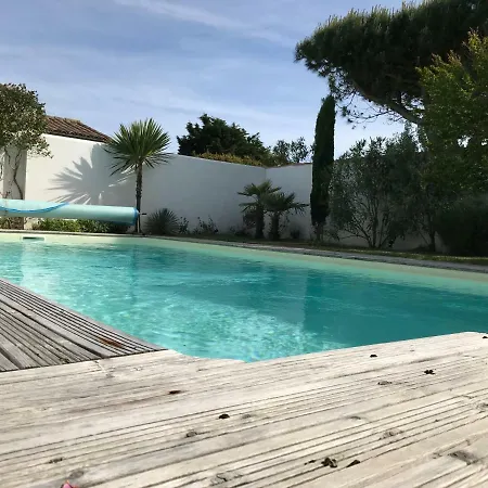 L'avocette Blanche