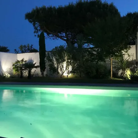 L'avocette Blanche فيلة *