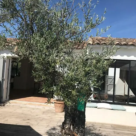 L'avocette Blanche فيلة سا كليمو دي با